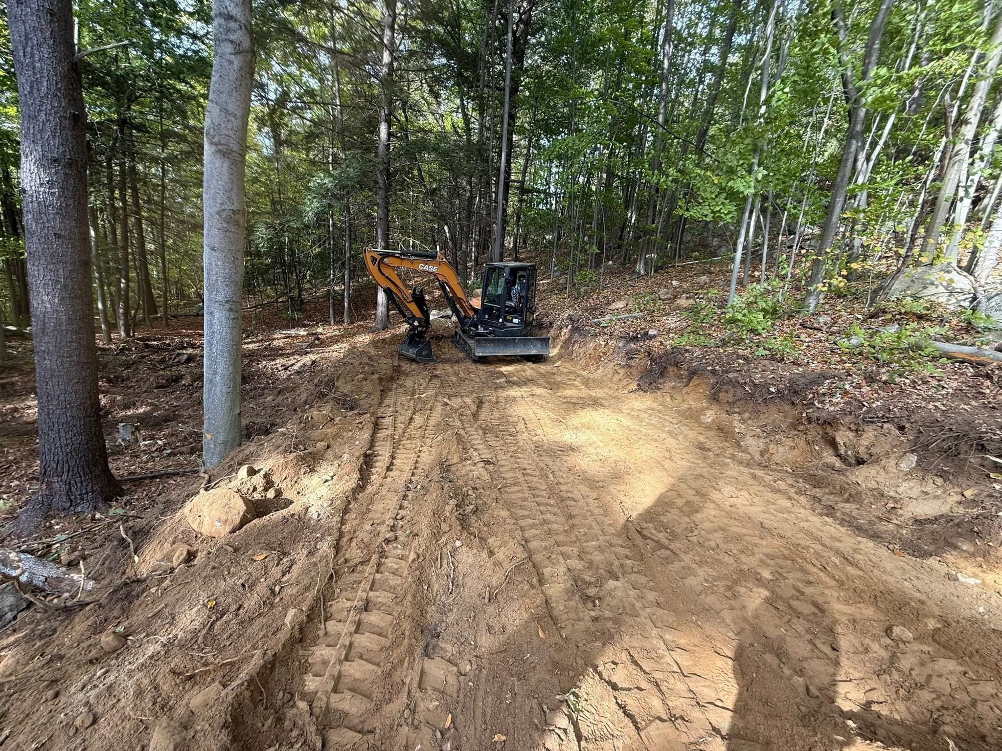 Small orange excavator grading a dirt path through a dense forest with tall green trees.